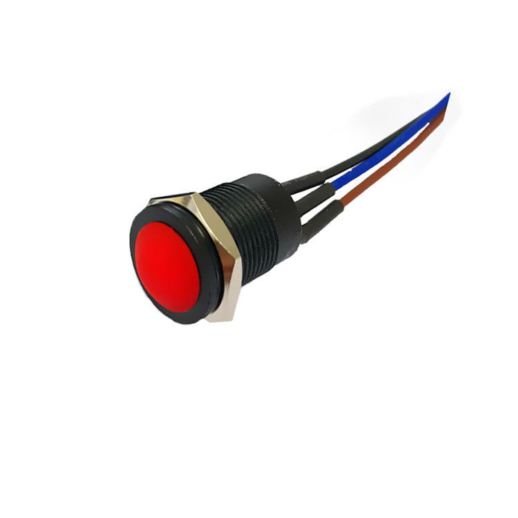 Wintai-Tech drukknop hoorn schakelaar 12v drukknop startschakelaar 12mm momentane drukknop Schakelaar met kabel assemblage