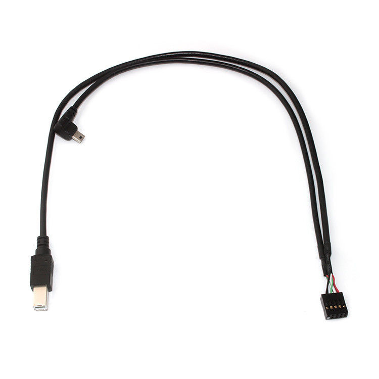 10 Pin 30 AWG 2.54mm Pitch Molex Kabel Assemblage 150mm Lengte Molex 22-55-2101