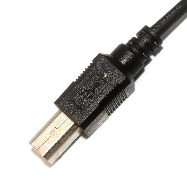 10 Pin 30 AWG 2.54mm Pitch Molex Kabel Assemblage 150mm Lengte Molex 22-55-2101