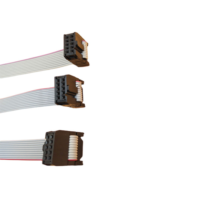 Assemblage van de het Lintkabel van het golfplaathulpmiddel de Vlakke met IDC 10 Speld 2.54mm Hoogte Vrouwelijke Schakelaar