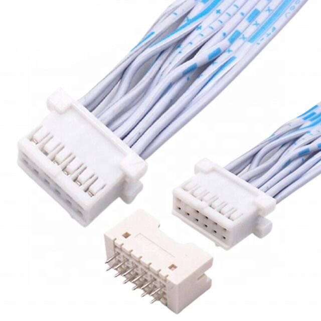Custom Wire Harness JST Flat Ribbon Cable met 2,54mm Pitch 12 Pin Double Row voor elektronische toepassingen