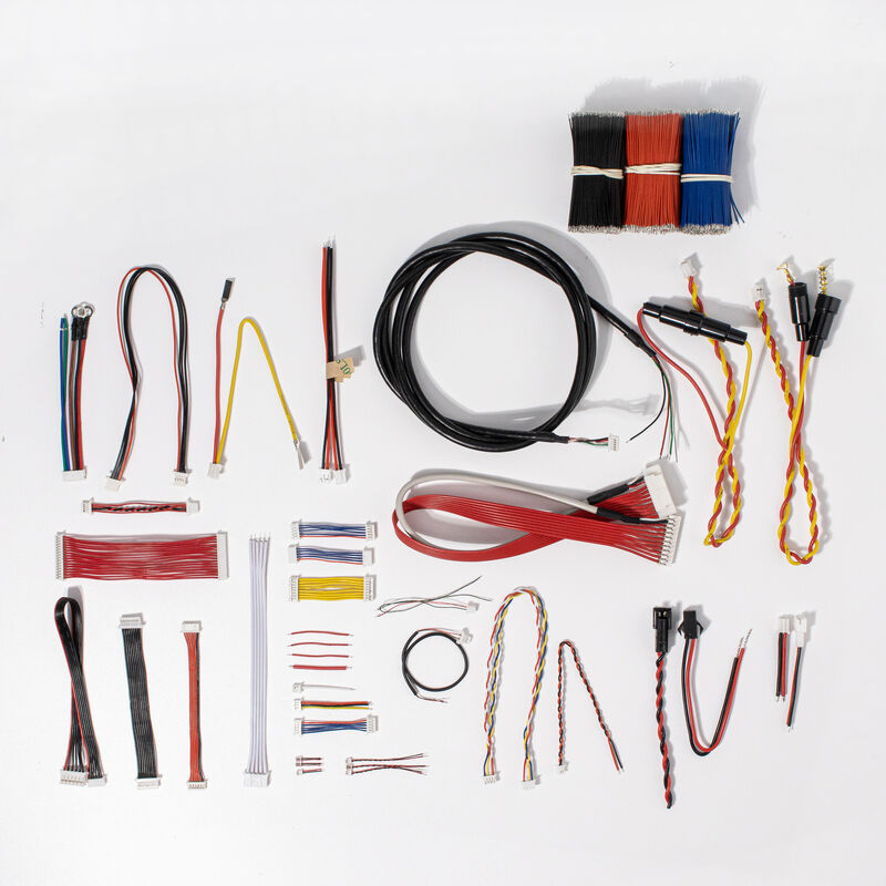 Custom Wire Harness Automotive Cable Assembly met koperkern aanpasbare lengte en JST/Molex connector
