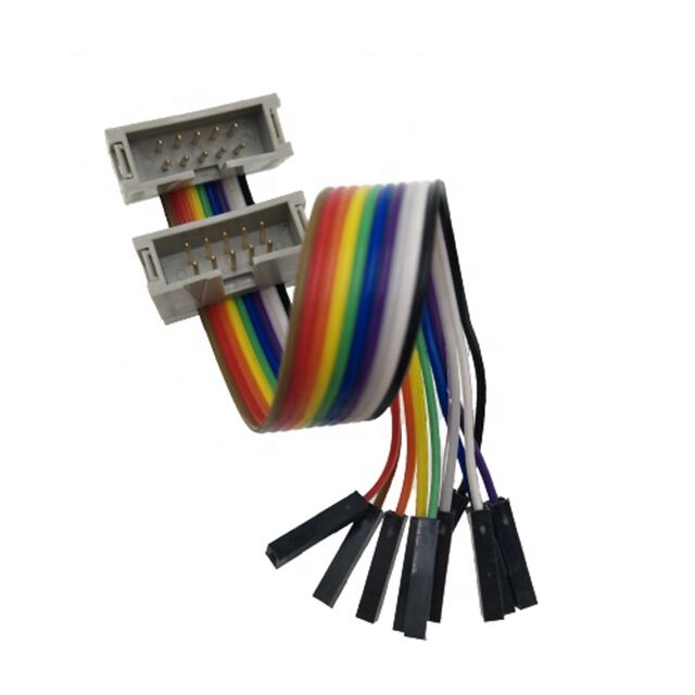 10-pins Dubbele IDC-bus Male Connector met 2.54mm Pitch Vergulde Platte Ribbon Breakout Kabel