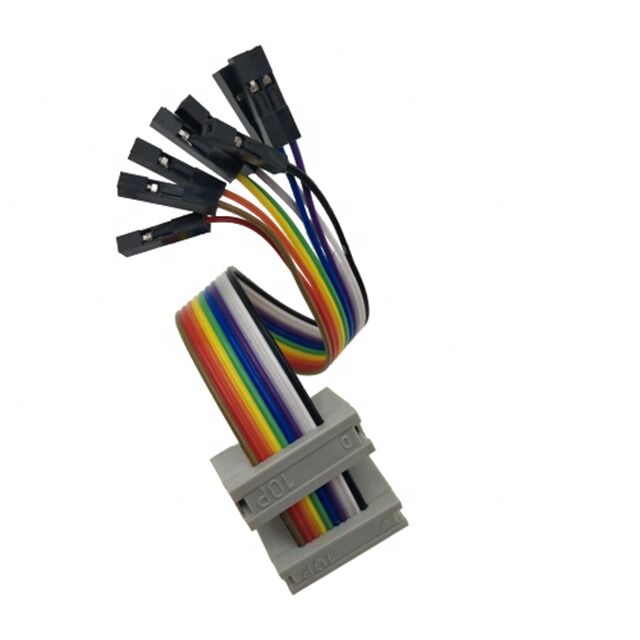 10-pins Dubbele IDC-bus Male Connector met 2.54mm Pitch Vergulde Platte Ribbon Breakout Kabel