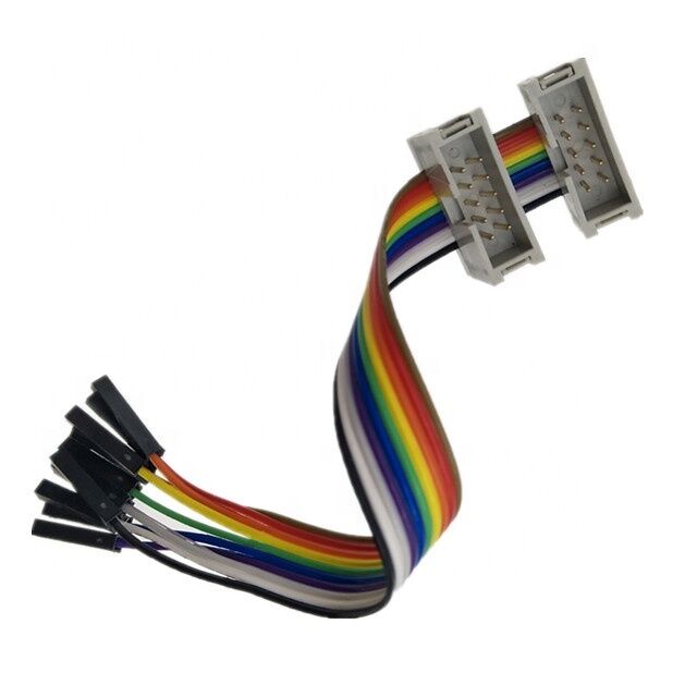 10-pins Dubbele IDC-bus Male Connector met 2.54mm Pitch Vergulde Platte Ribbon Breakout Kabel