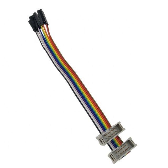10-pins Dubbele IDC-bus Male Connector met 2.54mm Pitch Vergulde Platte Ribbon Breakout Kabel