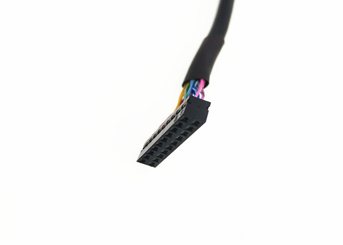 2*10 speldlcd Lvds de Terminal van de de Speldgolfplaat van Kabel df19g-jaren '20-1C 20 aan Dupont 2mm Hoogte 2 Rijen